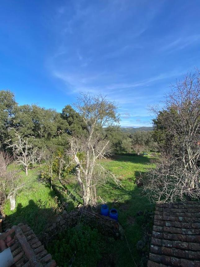 Espaciosa Y Elegante Casa Rural En Los Marines Bagian luar foto